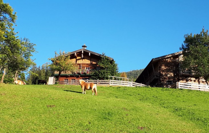 Blick auf das Ferienhaus